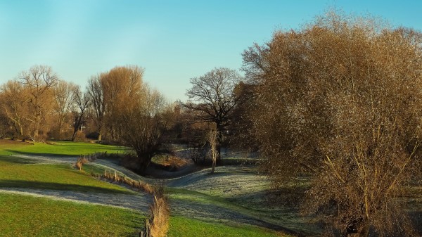 Field Autumn Trees Fence Wallpaper