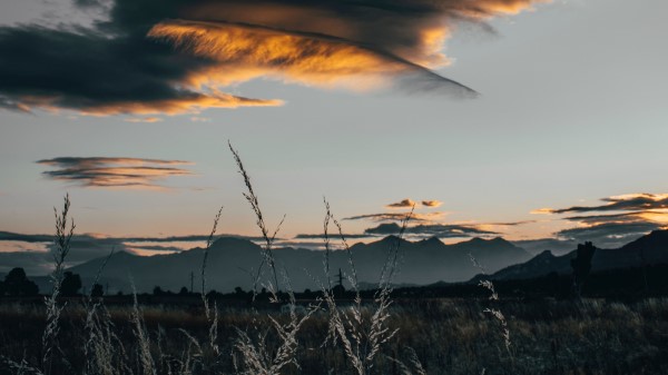 Field Clouds Grass Wallpaper