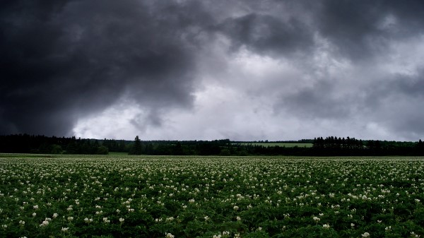 Field Clouds Landscape Wallpaper