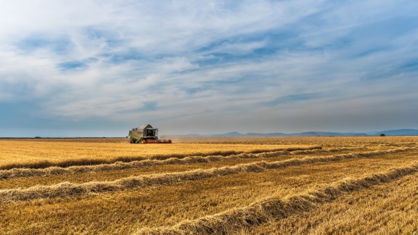 Field Farm Crop Field Crops Wallpaper Wallpaper