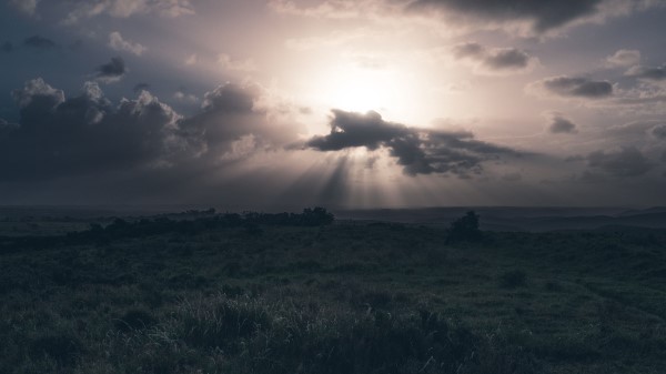 Field Grass Clouds Cloudy Wallpaper