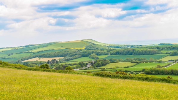 Field Grass Hill Wallpaper