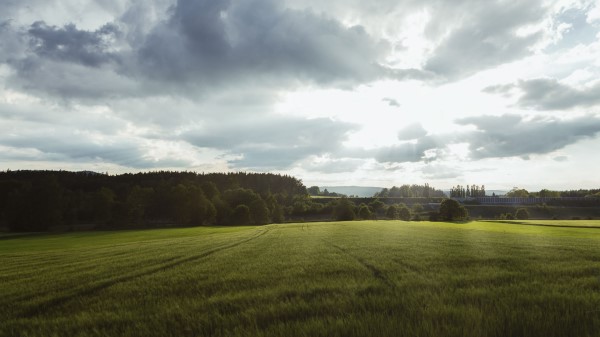 Field Grass Horizon 132720 3840x2160 Wallpaper
