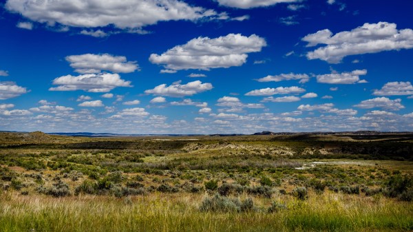 Field Grass Horizon Image Wallpaper