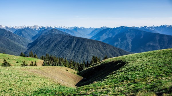 Field Grass Mountains Summer Wallpaper