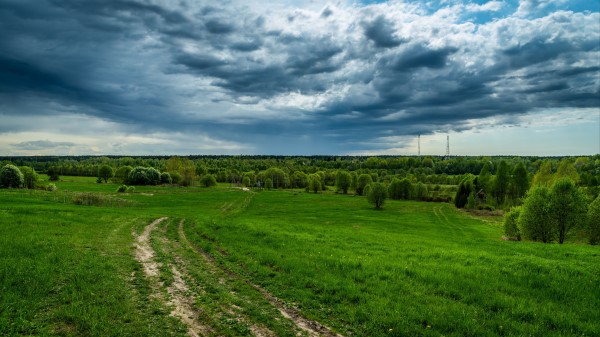 Field Grass Sky Wallpaper