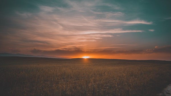 Field Grass Sunset Sky Wallpaper