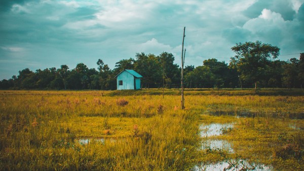 Field House Lake Wallpaper