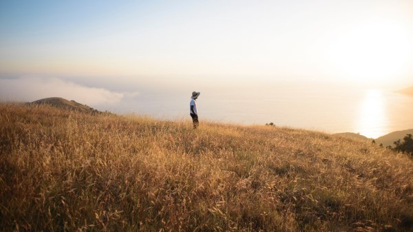 Field Loneliness Solitude Wallpaper