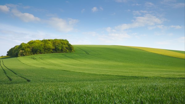Field Meadow Hill Wallpaper