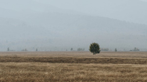 Field Mountains Fog Wallpaper