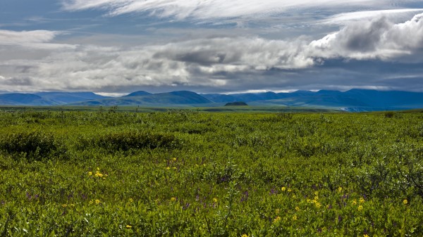 Field Mountains Hills Wallpaper