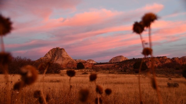 Field Mountains Landscape Wallpaper