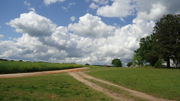 Field Road Home Landscape Wallpaper