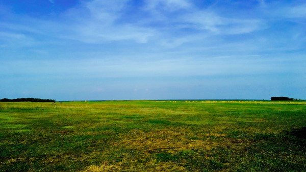 Field Sky Grass Summer Wallpaper