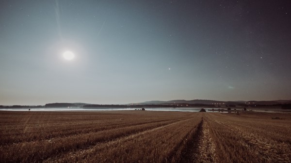 Field Starry Sky Grass Wallpaper