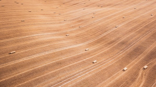 Field Stripes Lines Wallpaper