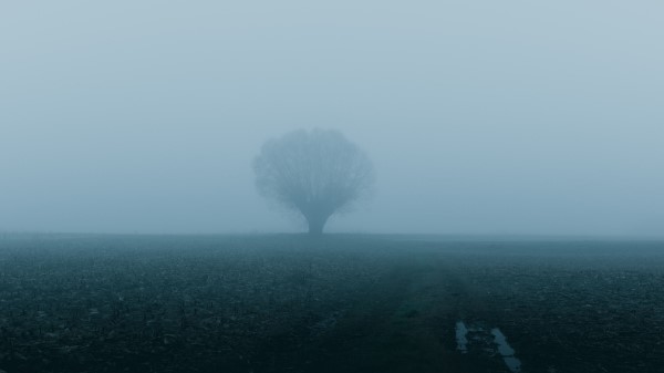 Field Tree Fog Image Wallpaper
