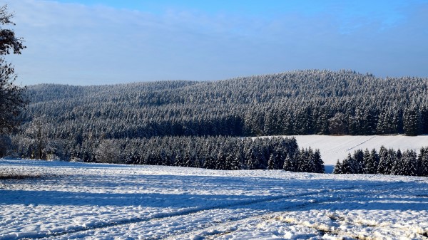 Field Winter Snow Trees Wallpaper