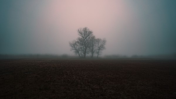 Fog Gloomy Tree Wallpaper