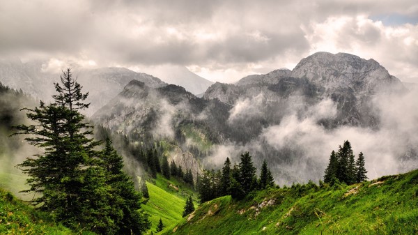 Fog Mountains Forest Wallpaper