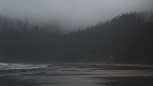 Fog River Trees Wallpaper