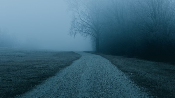 Fog Road Trees Img Wallpaper