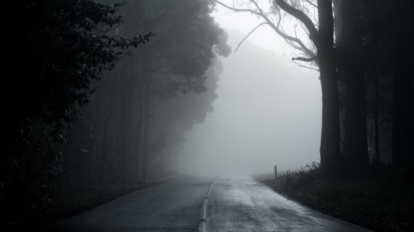 Fog Road Trees Wallpaper