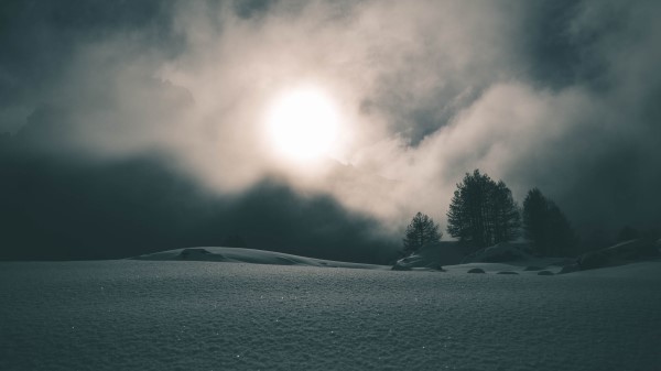 Fog Snow Trees Wallpaper