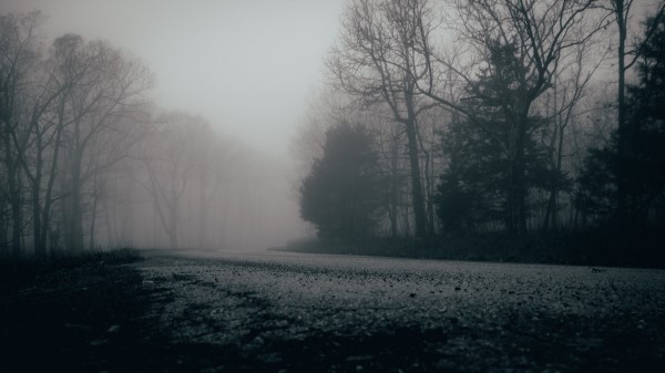Fog Trees Forest Image Wallpaper