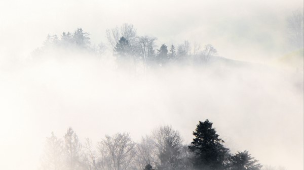 Fog Trees Hills Wallpaper