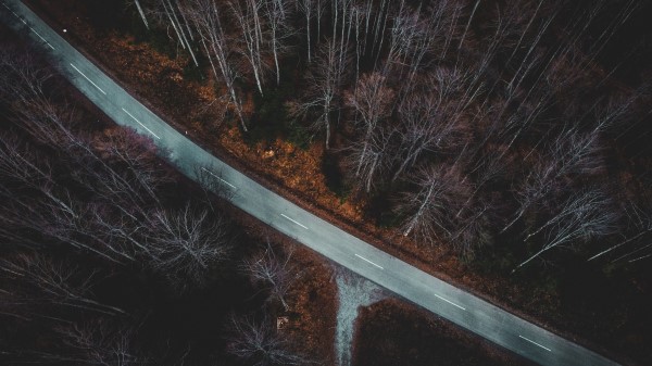 Forest Aerial View Autumn wallpaper