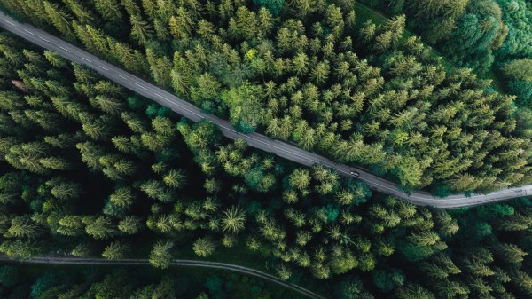 Forest Aerial View Road Wallpaper