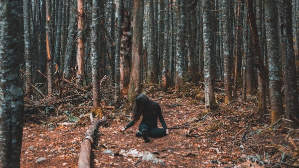Forest Girl Loneliness Wallpaper