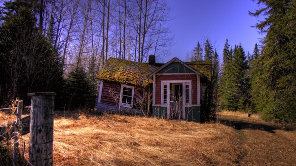 Forest House Landscap Wallpaper