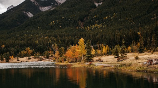 Forest Lake Autumn Wallpaper