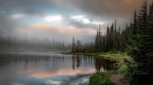 Forest Lake Grass Image Wallpaper