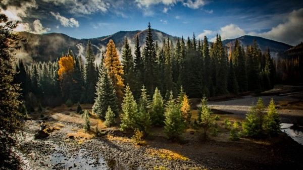 Forest Mountain River Wallpaper Wallpaper