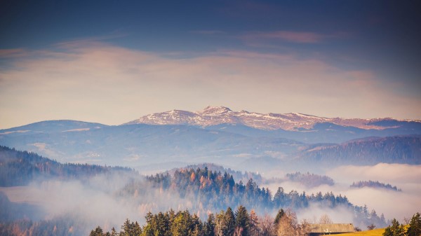 Forest Mountains Fog Image Wallpaper