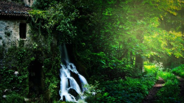 Forest Nature Building Waterfall Landscape Wallpaper Wallpaper