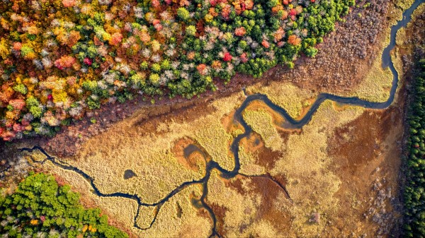 Forest River Aerial View Image Wallpaper