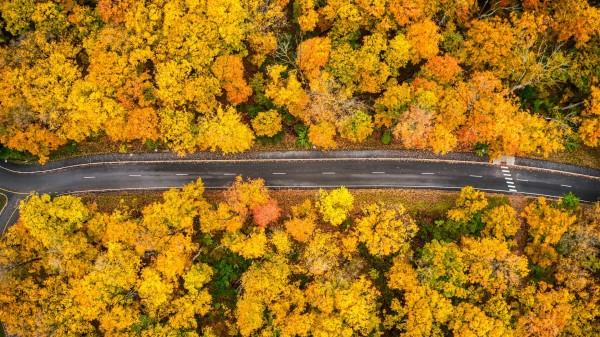 Forest Road Aerial View Ph Wallpaper