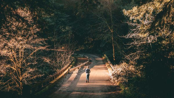 Forest Road Man Wallpaper