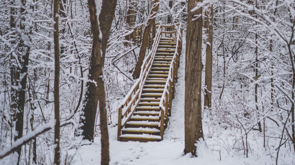 Forest Snow Stairs Wallpaper