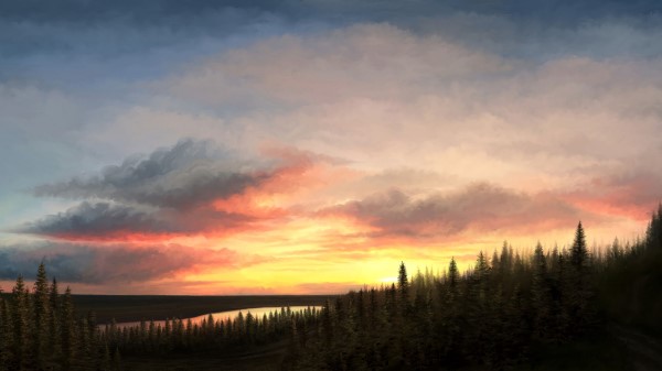 Forest Spruce Sunset Wallpaper