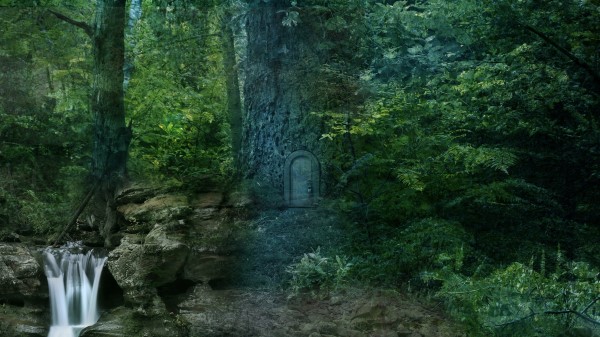 Forest Trees Waterfall Landscape Wallpaper Wallpaper