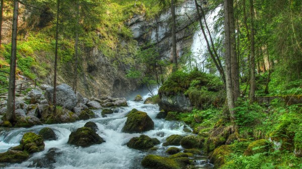 Forest Waterfall River Rocks Landscape Wallpaper Wallpaper