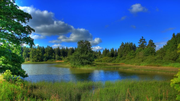 Germany Landscape Lake Hessen Grass Nature Wallpaper Wallpaper