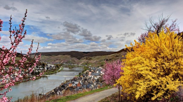 Germany River Bushes Wallpaper Wallpaper