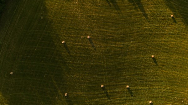 Grass Field Aerial View wallpaper